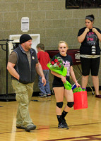 Volleyball 2013