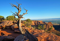 Fruita